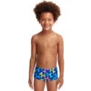 Funky Trunks - Balloon Dog - Toddler Boys Printed Trunks