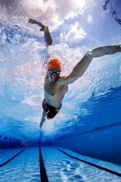 Funky Trunks - Clockwork Orange Boys Jammers -Funky Trunks funky trunks boys swimwear clockwork orange jammers 4