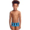 Funky Trunks - Dive Master - Toddler Boys Eco Trunks