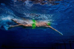 Funky Trunks - Golden Glow - Mens Classic Trunks -Funky Trunks funky trunks mens swimwear golden glow classic trunks 7