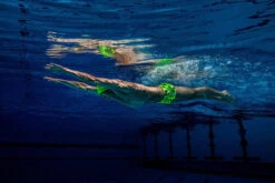 Funky Trunks - Golden Glow - Mens Classic Trunks -Funky Trunks funky trunks mens swimwear golden glow classic trunks 8