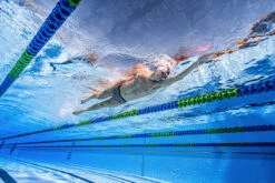 Funky Trunks - Royal Fleet - Mens Sidewinder Trunks -Funky Trunks funky trunks royal fleet mens sidewinder trunks 9