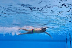 Funky Trunks - Wing It - Mens Plain Front Trunks -Funky Trunks funky trunks wing it mens plain front trunks 11