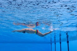 Funky Trunks - Wing It - Mens Plain Front Trunks -Funky Trunks funky trunks wing it mens plain front trunks 12