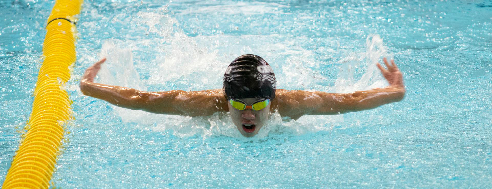 Funky Trunks -Funky Trunks pexels marco polo ocay 1089911210 20820170